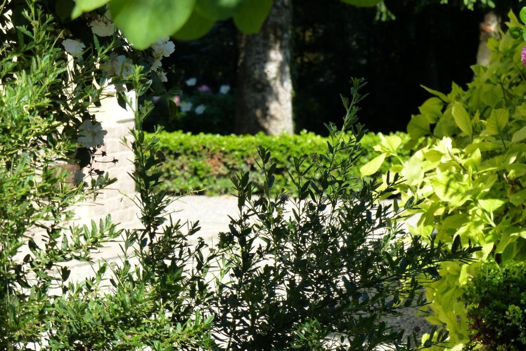 Villino Di Porporano Bed and Breakfast Πάρμα Εξωτερικό φωτογραφία